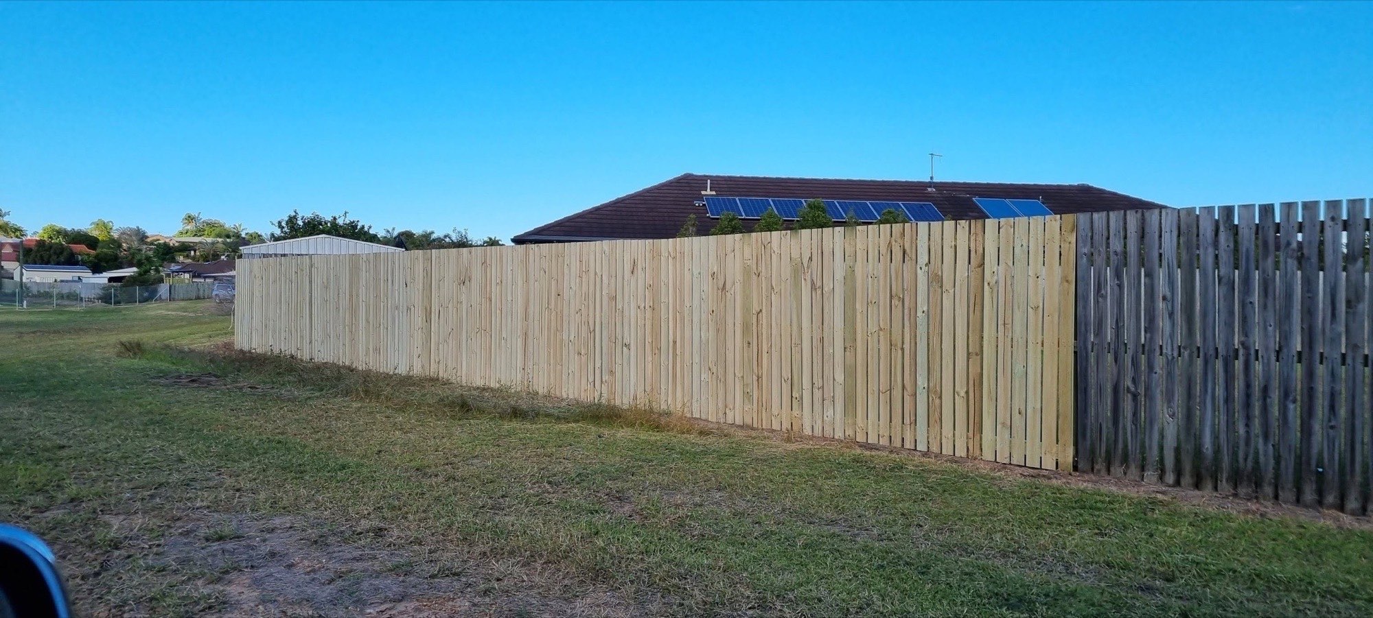 A newly built timber paling fence running along a Bundaberg backyard under a clear sky